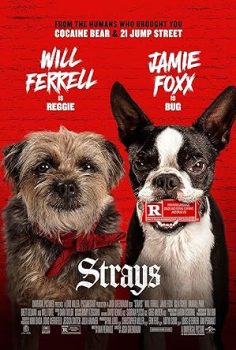 Kulağı Kesikler / Strays (2023) Türkçe Dublaj